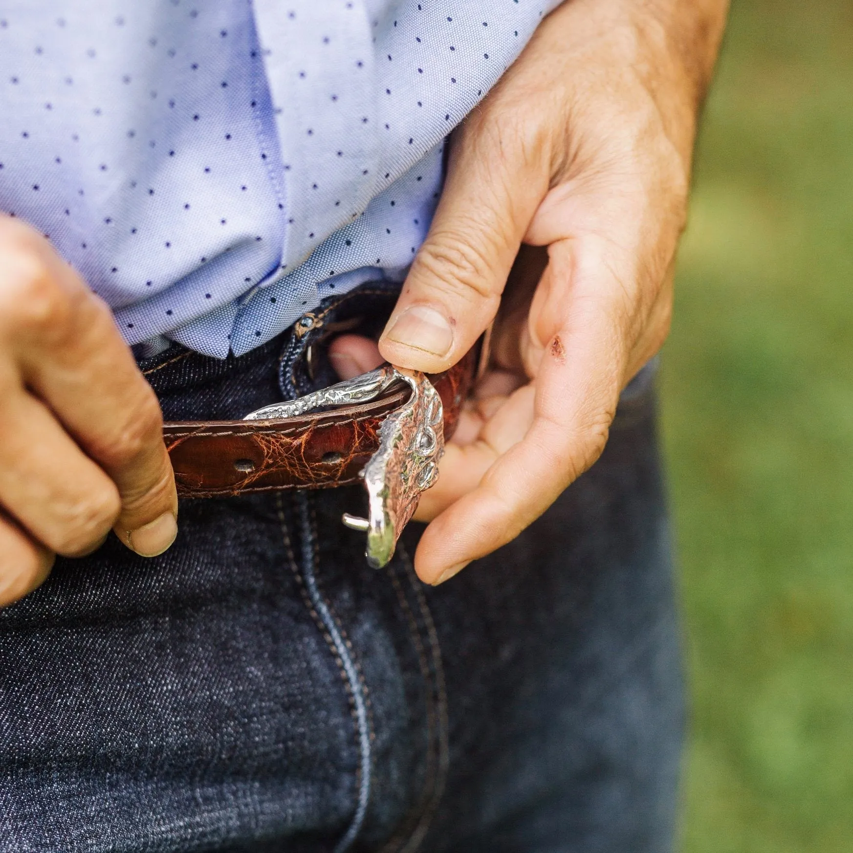 Alligator Buckle