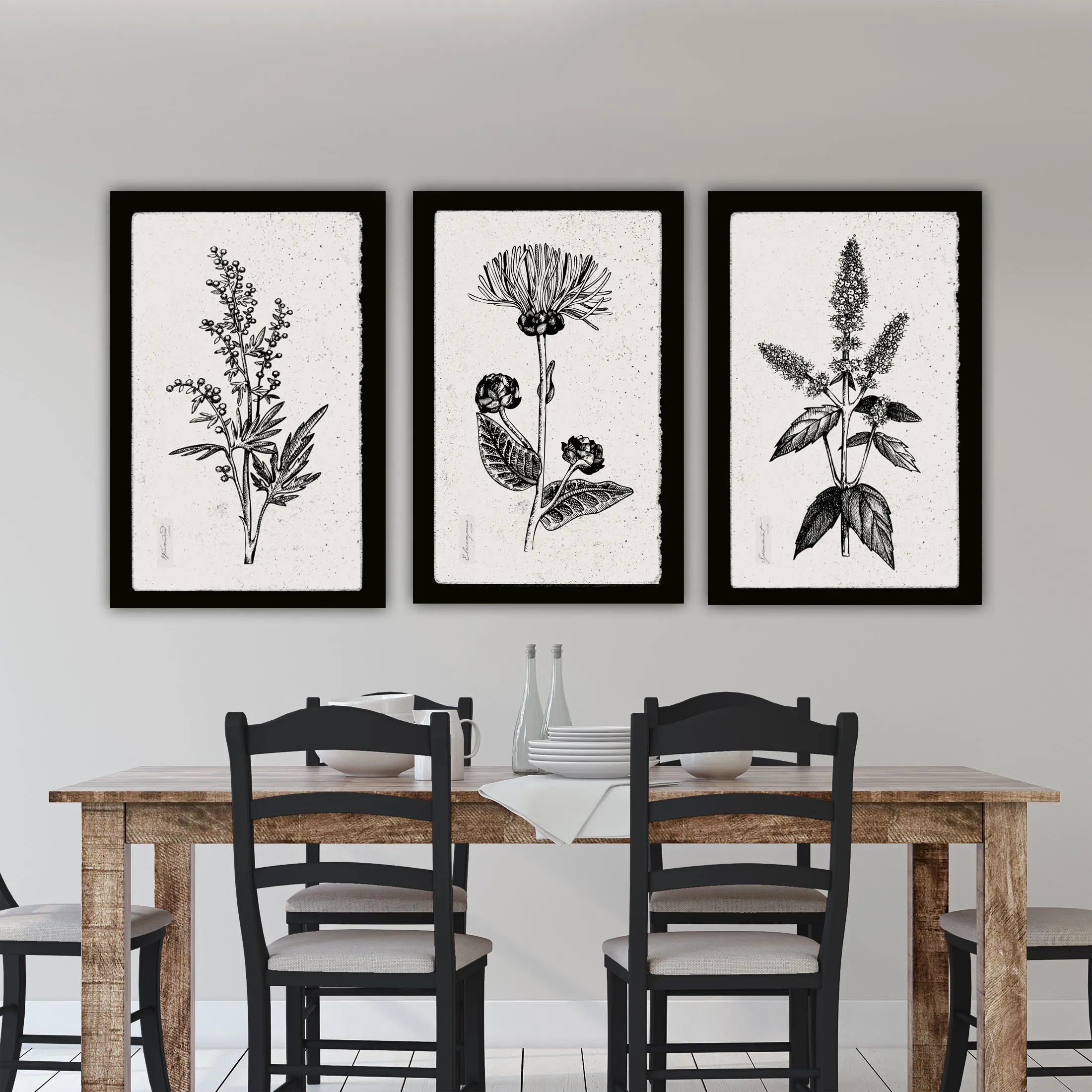 Botanical Herbs on Canvas with Black Edges