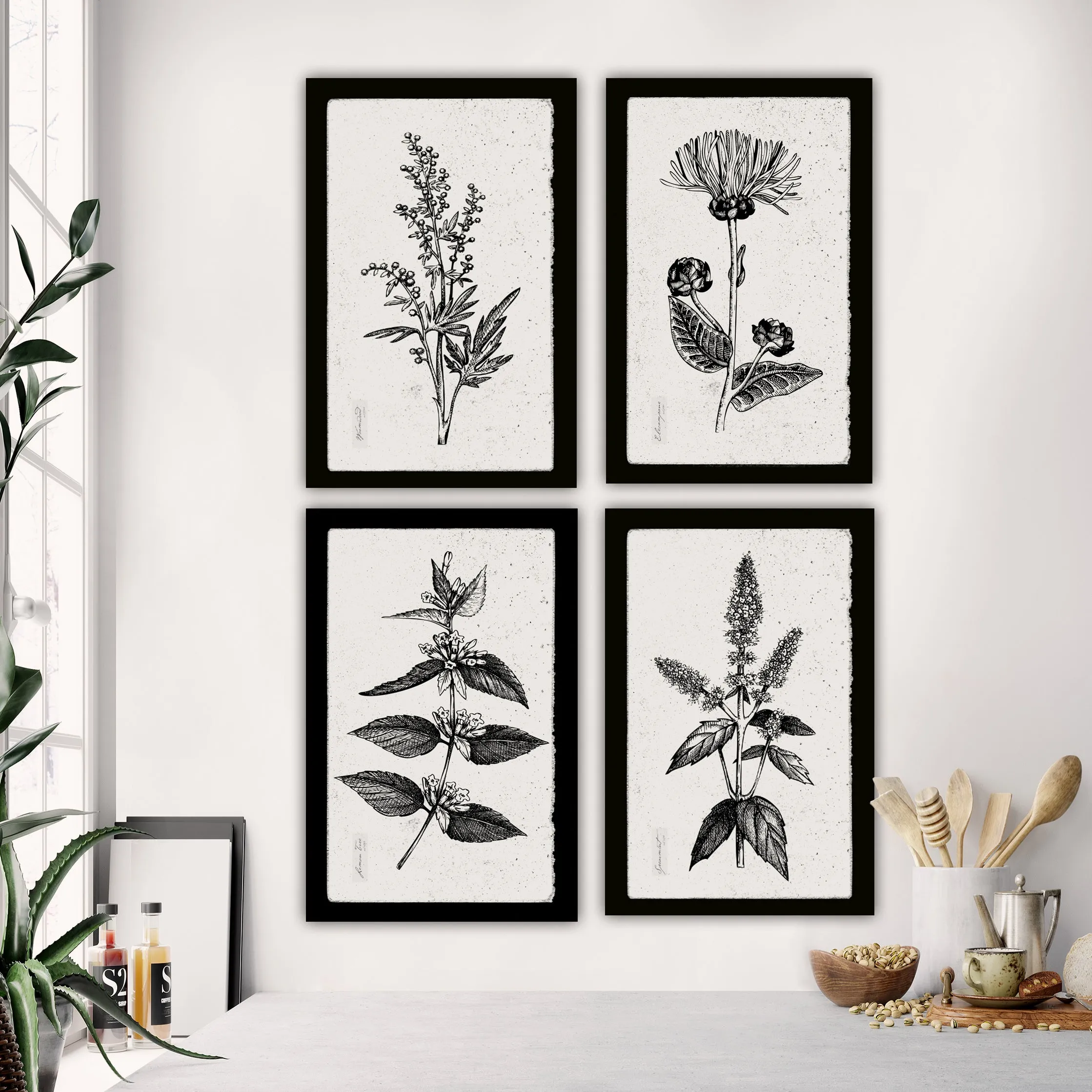 Botanical Herbs on Canvas with Black Edges