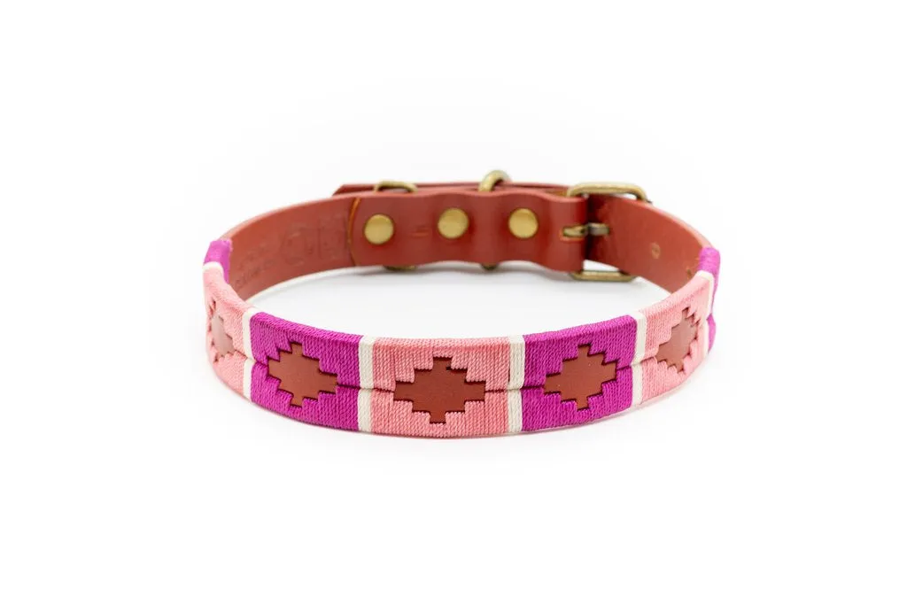 Dog Collar | Gitana | Macondo Belts